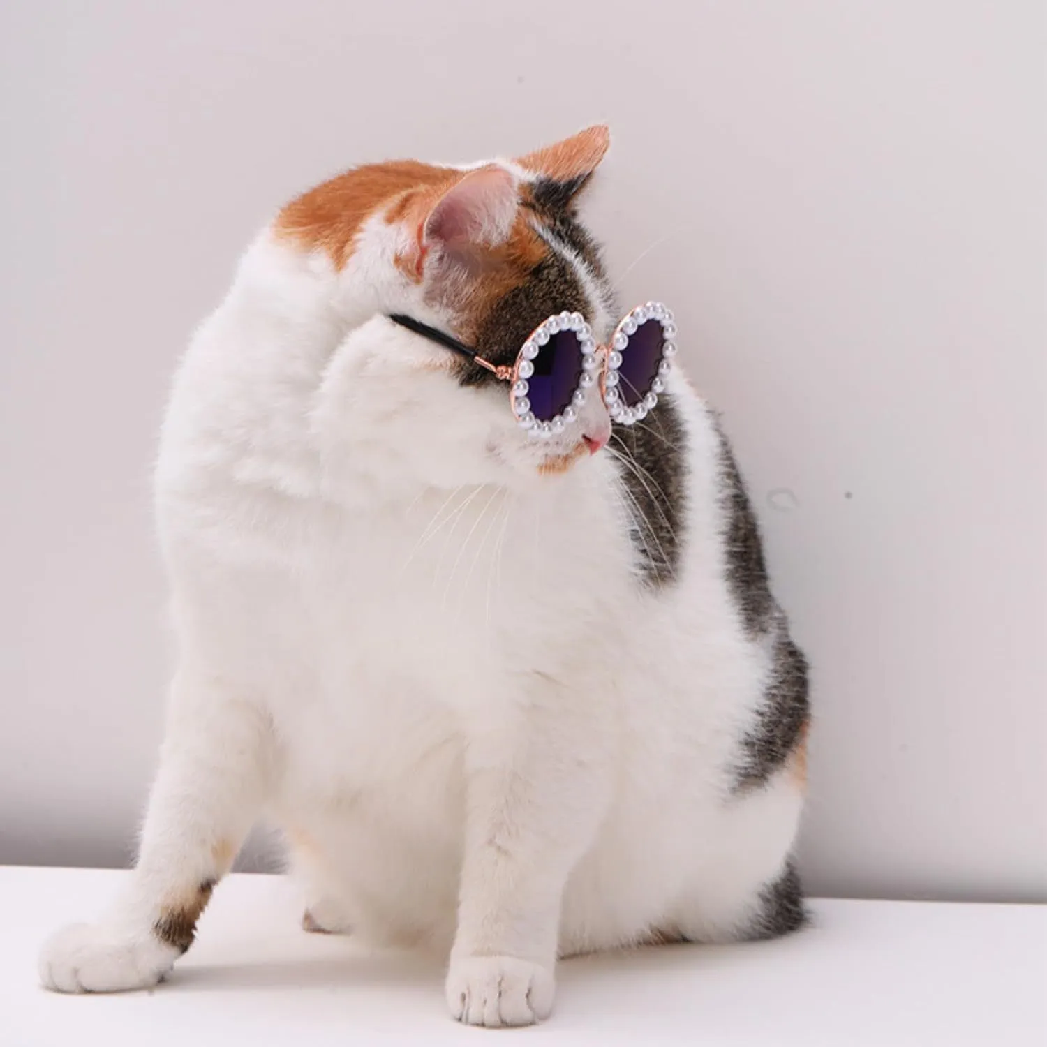 Cat and Dog Pearl Sunglasses