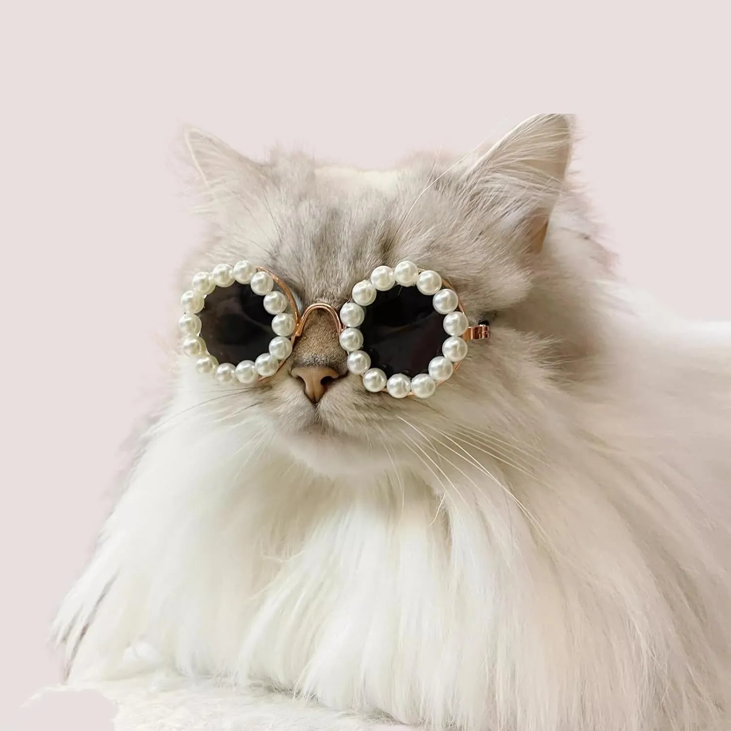 Cat and Dog Pearl Sunglasses