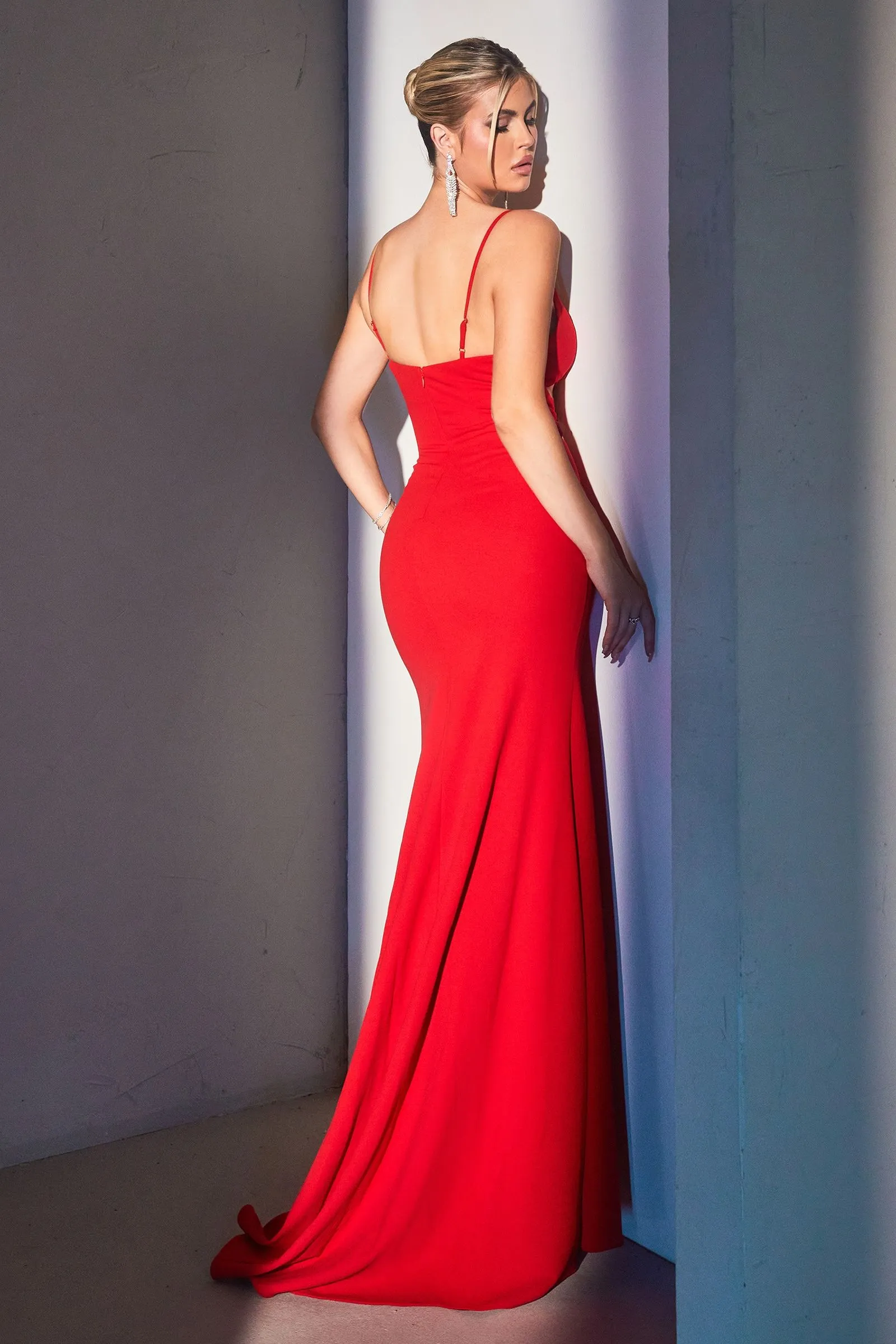 FITTED SEXY CUT OUT GOWN  CDCH129