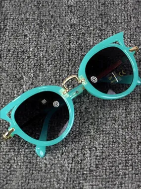 Polarized Cat Eye Sunglasses