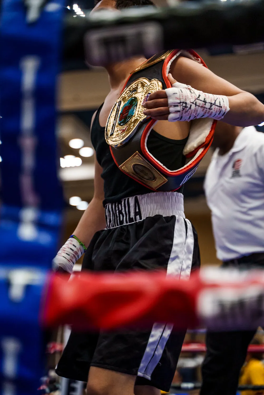 TITLE Boxing World Championship Title Belt