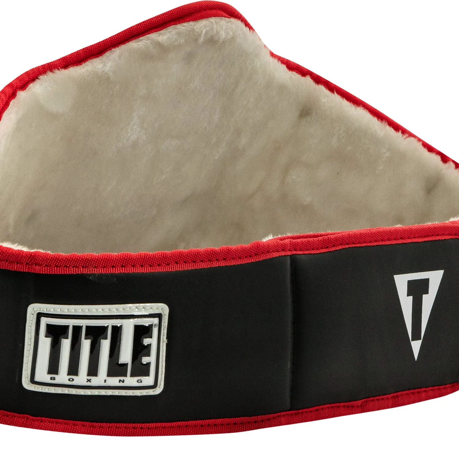 TITLE Boxing World Championship Title Belt