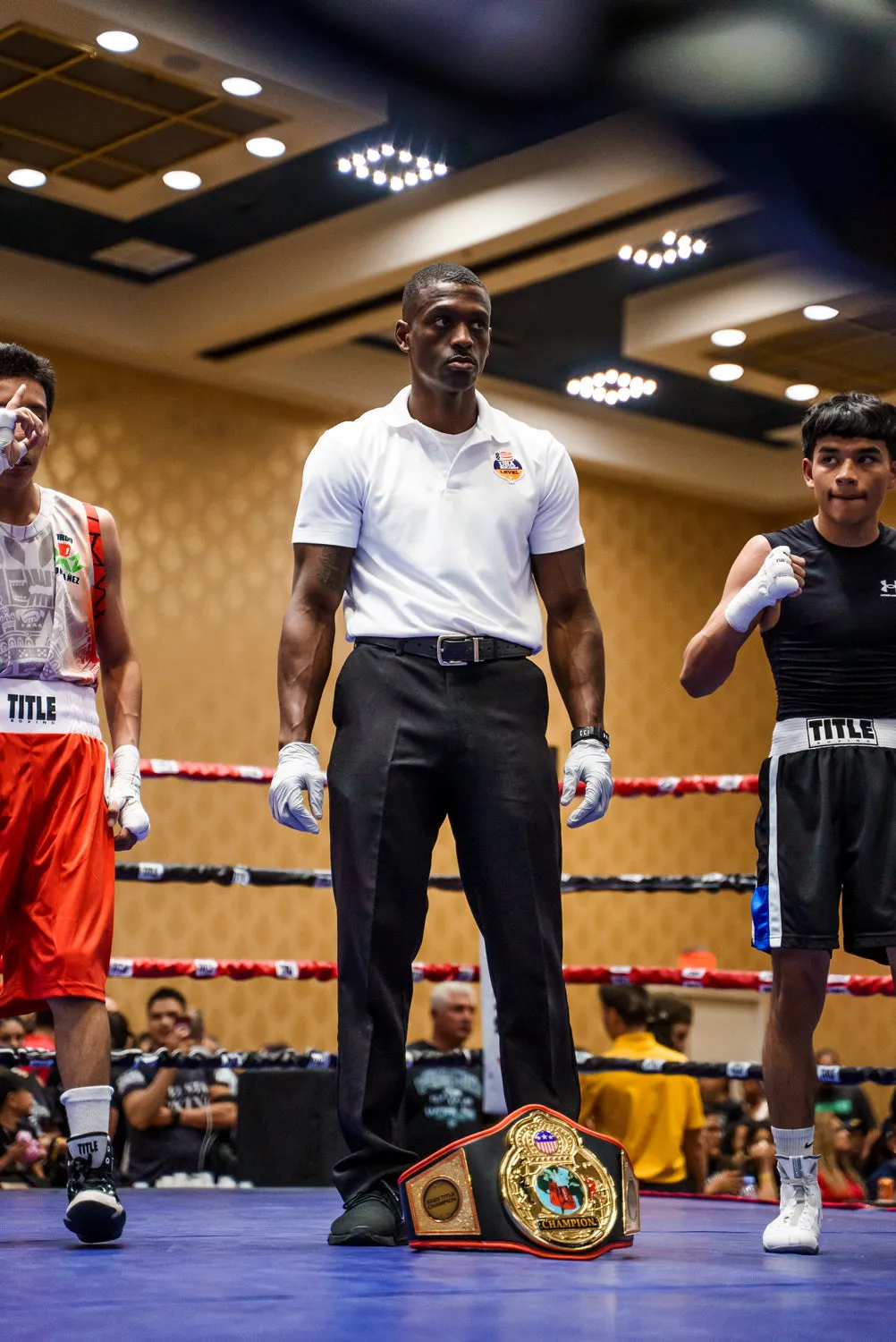 TITLE Boxing World Championship Title Belt